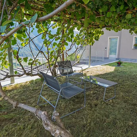 Il Nido Di Siro Cercino